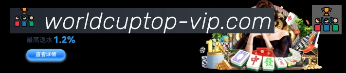 对战数据统计